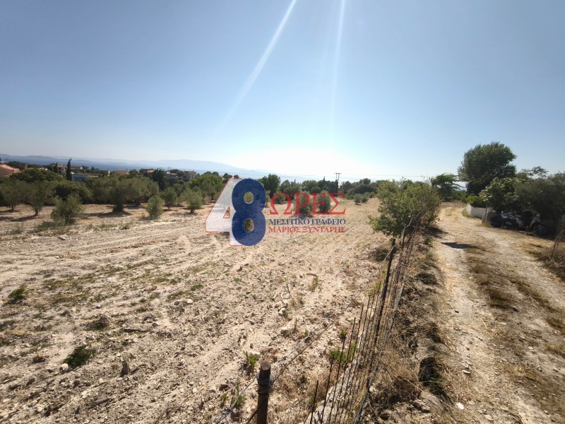 Οικόπεδο 730 τ.μ. προς πώληση, Ομηρούπολη