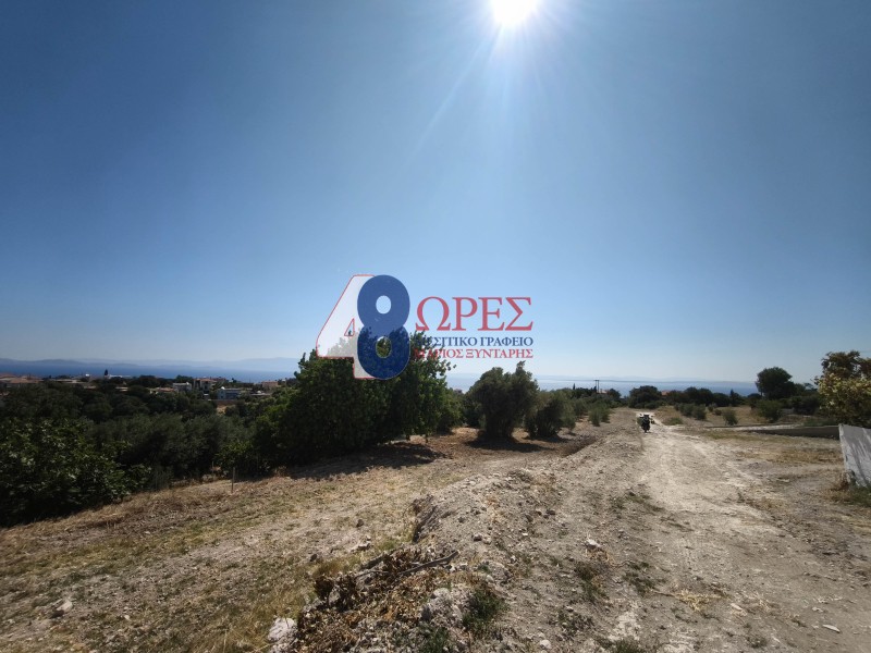 Οικόπεδο 641 τ.μ. προς πώληση, Ομηρούπολη