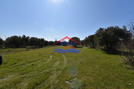 Αγροτεμάχια 1.044τ.μ. για πώληση-Αλεξανδρούπολη » Δίκελλα