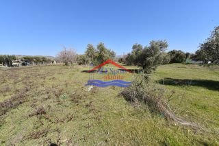 Οικόπεδο 1.044 τ.μ. για πώληση, Εβρος, Αλεξανδρούπολη-thumb-6