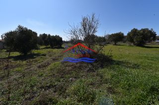 Οικόπεδο 1.044 τ.μ. για πώληση, Εβρος, Αλεξανδρούπολη-thumb-2