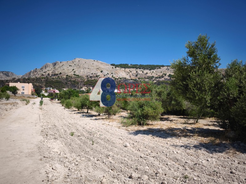 Οικόπεδο 607 τ.μ. προς πώληση, Ομηρούπολη
