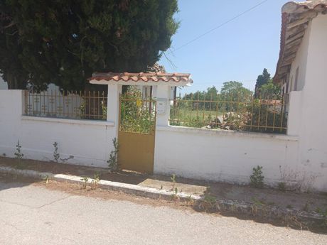 Οικόπεδο 1.097τ.μ. για πώληση-Αίγειρος » Κέντρο