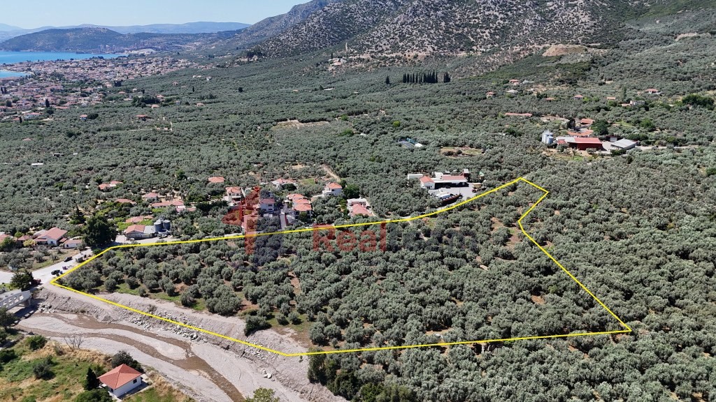 Αγροτεμάχια 27.871 τ.μ. πρός πώληση, Μαγνησία, Αρτέμιδα