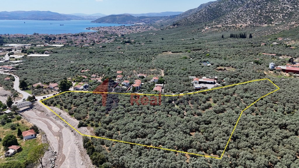 Αγροτεμάχια 27.871 τ.μ. πρός πώληση, Μαγνησία, Αρτέμιδα
