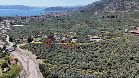 Αγροτεμάχια 27.871τ.μ. για πώληση-Αρτέμιδα