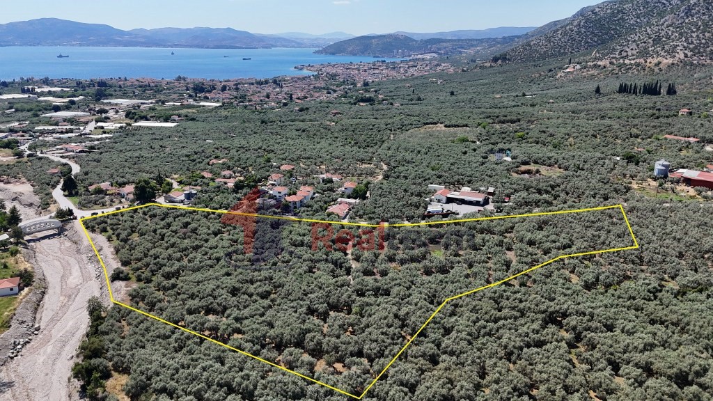 Αγροτεμάχια 27.871 τ.μ. πρός πώληση, Μαγνησία, Αρτέμιδα