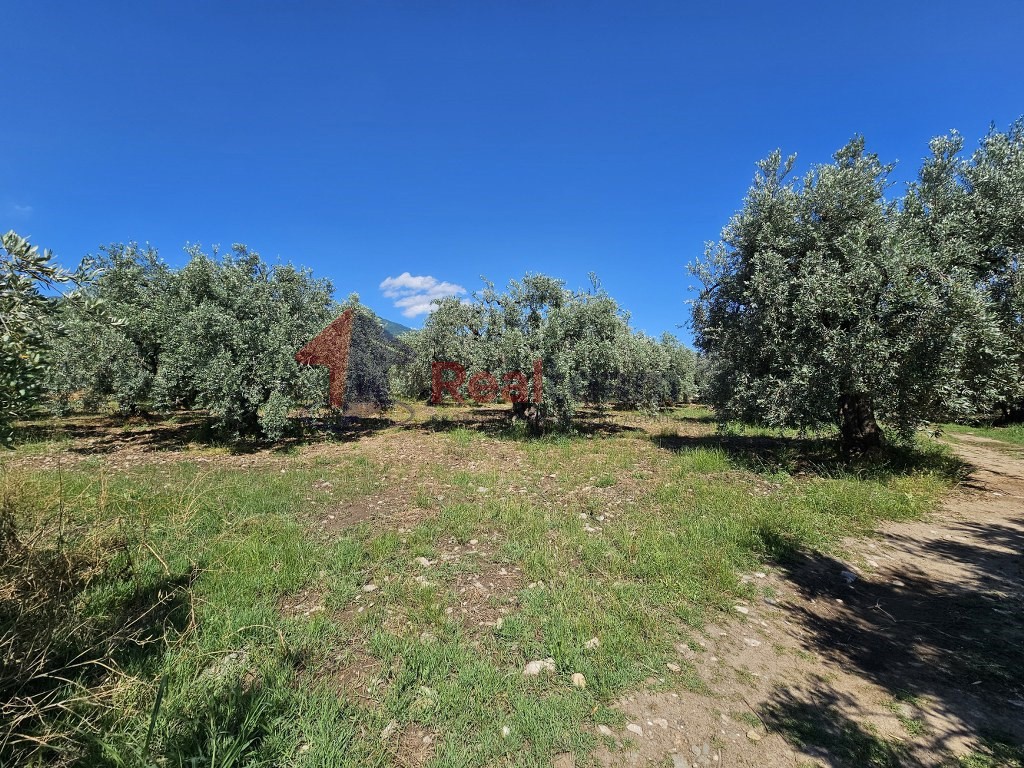 Αγροτεμάχια 27.871 τ.μ. πρός πώληση, Μαγνησία, Αρτέμιδα