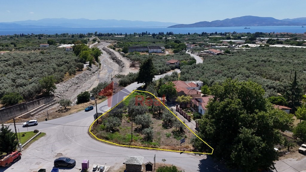 Αγροτεμάχια 1.095 τ.μ. πρός πώληση, Μαγνησία, Αρτέμιδα