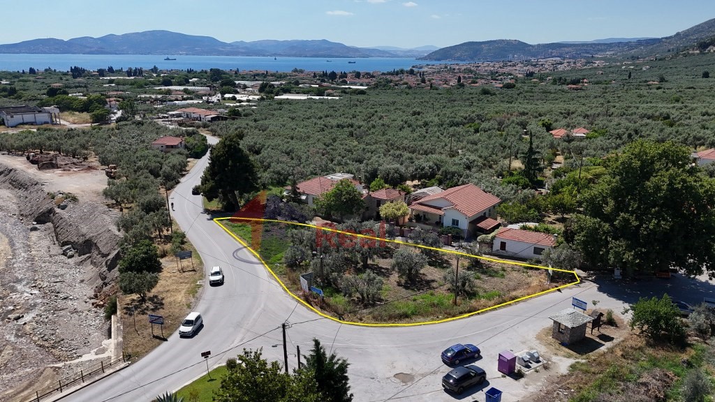 Αγροτεμάχια 1.095 τ.μ. πρός πώληση, Μαγνησία, Αρτέμιδα