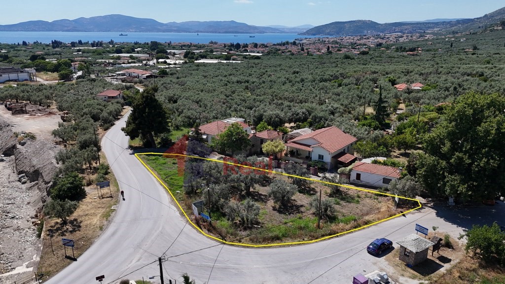 Αγροτεμάχια 1.095 τ.μ. πρός πώληση, Μαγνησία, Αρτέμιδα
