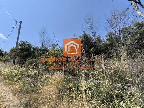 Αγροτεμάχια 4.300τ.μ. για πώληση-Χορτιάτης » Φίλυρο