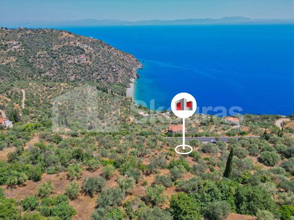 Αγροτεμάχια 5.060 τ.μ. για πώληση, Αρκαδία, Απόλλωνας