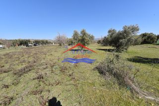 Αγροτεμάχια 1.044 τ.μ. για ενοικίαση, Εβρος, Αλεξανδρούπολη-thumb-6
