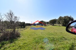Αγροτεμάχια 1.044 τ.μ. για ενοικίαση, Εβρος, Αλεξανδρούπολη-thumb-7