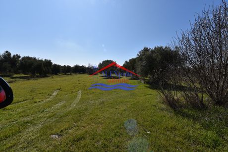 Αγροτεμάχια 1.044τ.μ. για ενοικίαση-Αλεξανδρούπολη » Δίκελλα