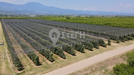 Αγροτεμάχια 27.115τ.μ. για πώληση-Ανθεμιά » Μονόσπιτα