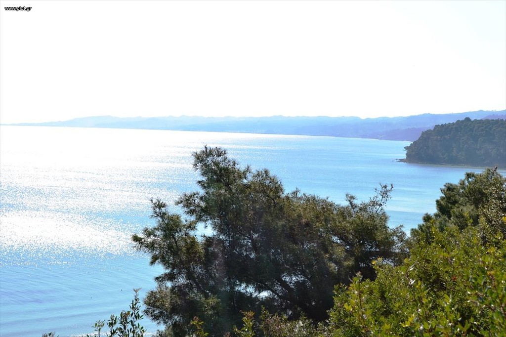 Αγροτεμάχια 4.316 τ.μ. πρός πώληση, Χαλκιδική, Κασσάνδρα