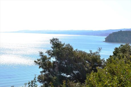 Αγροτεμάχια 11.370τ.μ. για πώληση-Κασσάνδρα » Κρυοπηγή