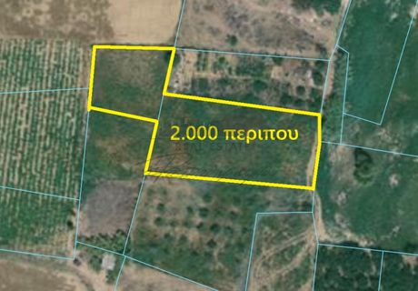 Αγροτεμάχια 2.000τ.μ. για πώληση-Αισωνία » Διμήνι