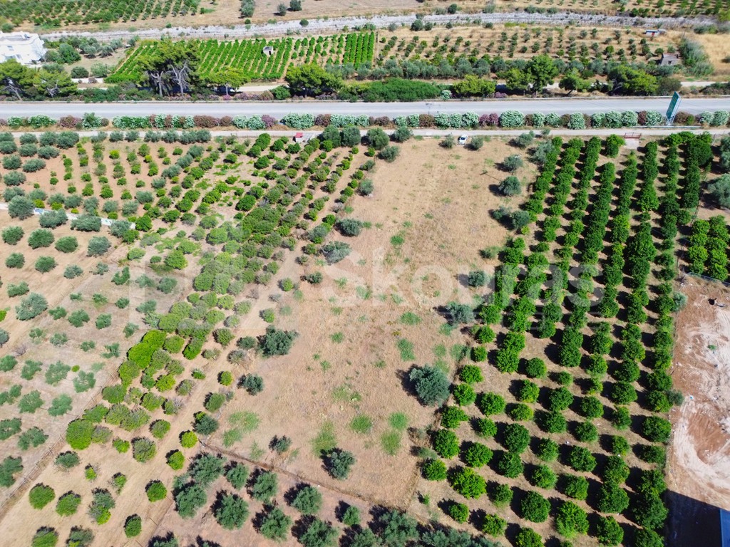 Οικόπεδο 4.339 τ.μ. προς πώληση, Κόρινθος