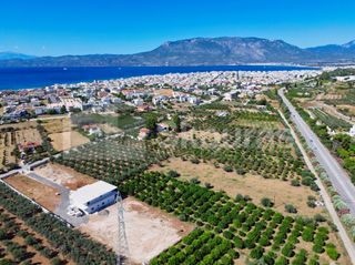 Οικόπεδο 4.339 τ.μ. προς πώληση, Κόρινθος-thumb-3