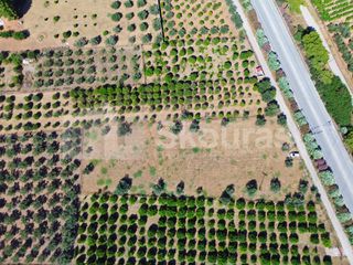 Οικόπεδο 4.339 τ.μ. προς πώληση, Κόρινθος-thumb-6
