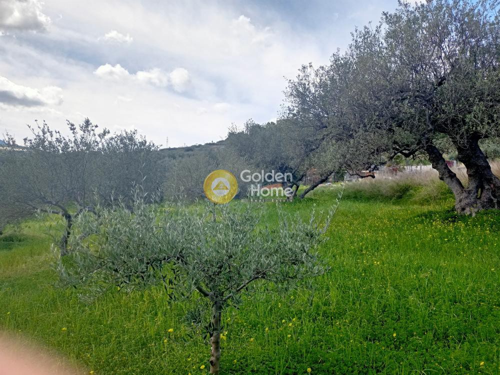 Οικόπεδο 4.000 τ.μ. προς πώληση, Φορτέτσα