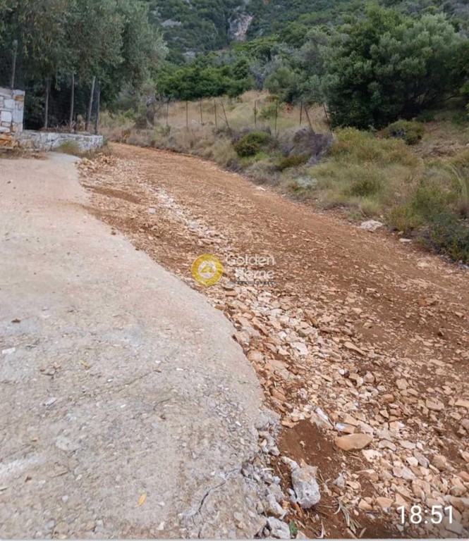 Οικόπεδο 4.500 τ.μ. πρός πώληση, Μαγνησία, Σηπιάδα
