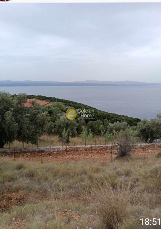 Οικόπεδο 4.500 τ.μ. πρός πώληση, Μαγνησία, Σηπιάδα