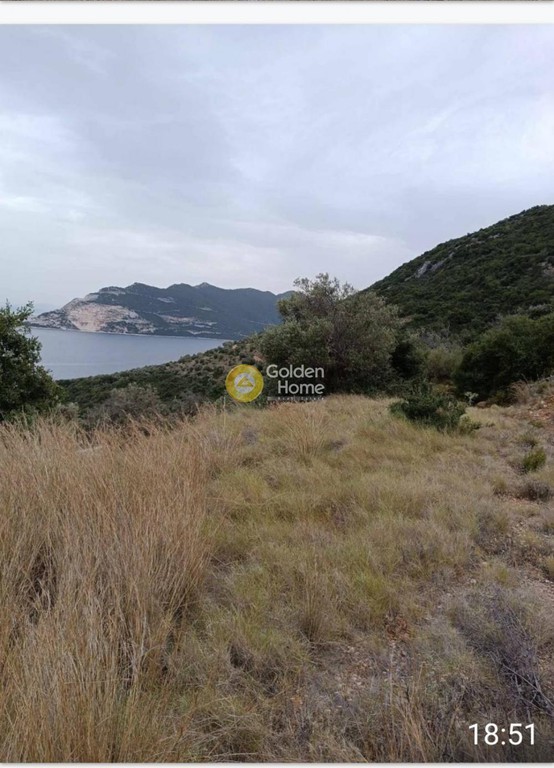 Οικόπεδο 4.500 τ.μ. πρός πώληση, Μαγνησία, Σηπιάδα