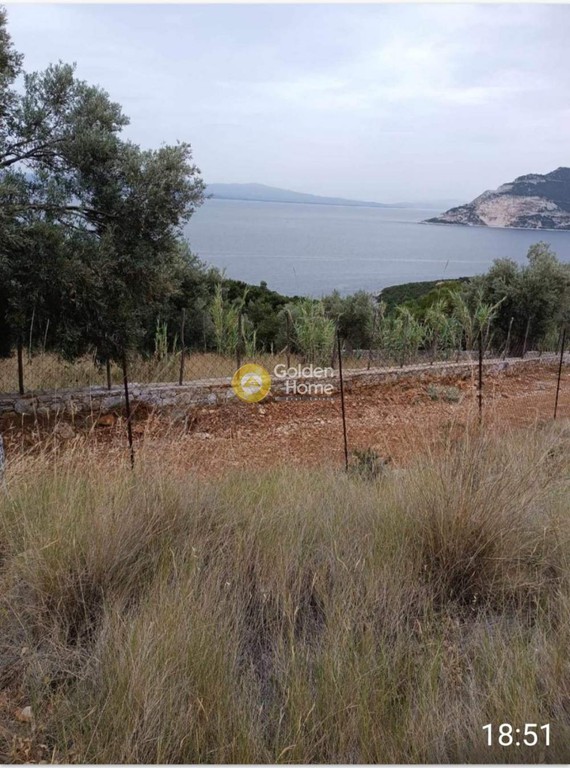 Οικόπεδο 4.500 τ.μ. πρός πώληση, Μαγνησία, Σηπιάδα