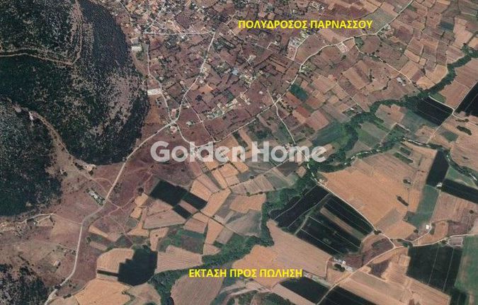 Αγροτεμάχια 3.671 τ.μ. για πώληση, Φωκίδα, Παρνασσός