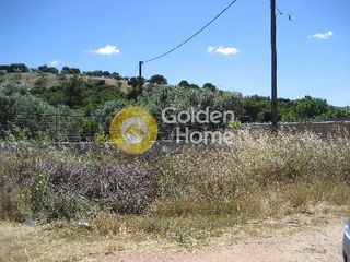 Αγροτεμάχια 552 τ.μ. για πώληση