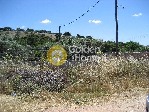 Αγροτεμάχια 552 τ.μ. για πώληση, Αττική - Υπόλοιπο, Κερατέα
