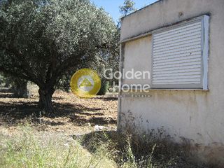 Αγροτεμάχια 552 τ.μ. για πώληση, Αττική - Υπόλοιπο, Κερατέα-thumb-6