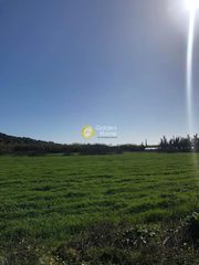 Αγροτεμάχια 23.500 τ.μ. για πώληση