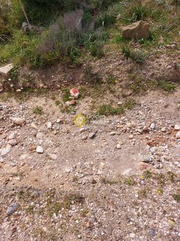 Parcel 3.500 sqm for sale
