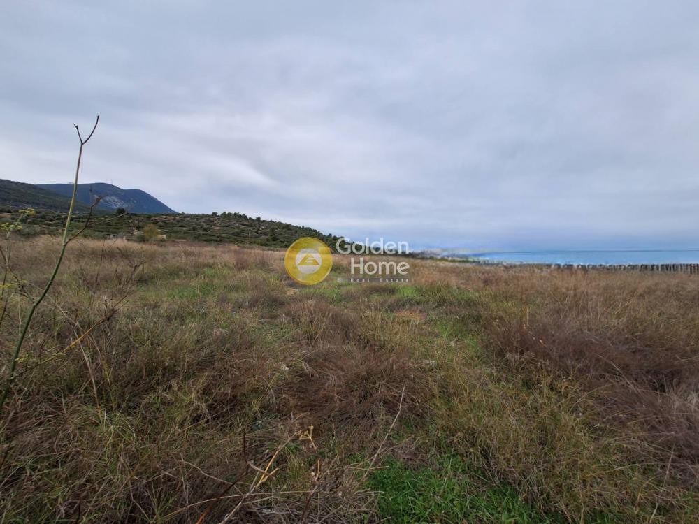 Οικόπεδο 14.000 τ.μ. προς πώληση, Ξηρόβρυση Ανθηδώνος