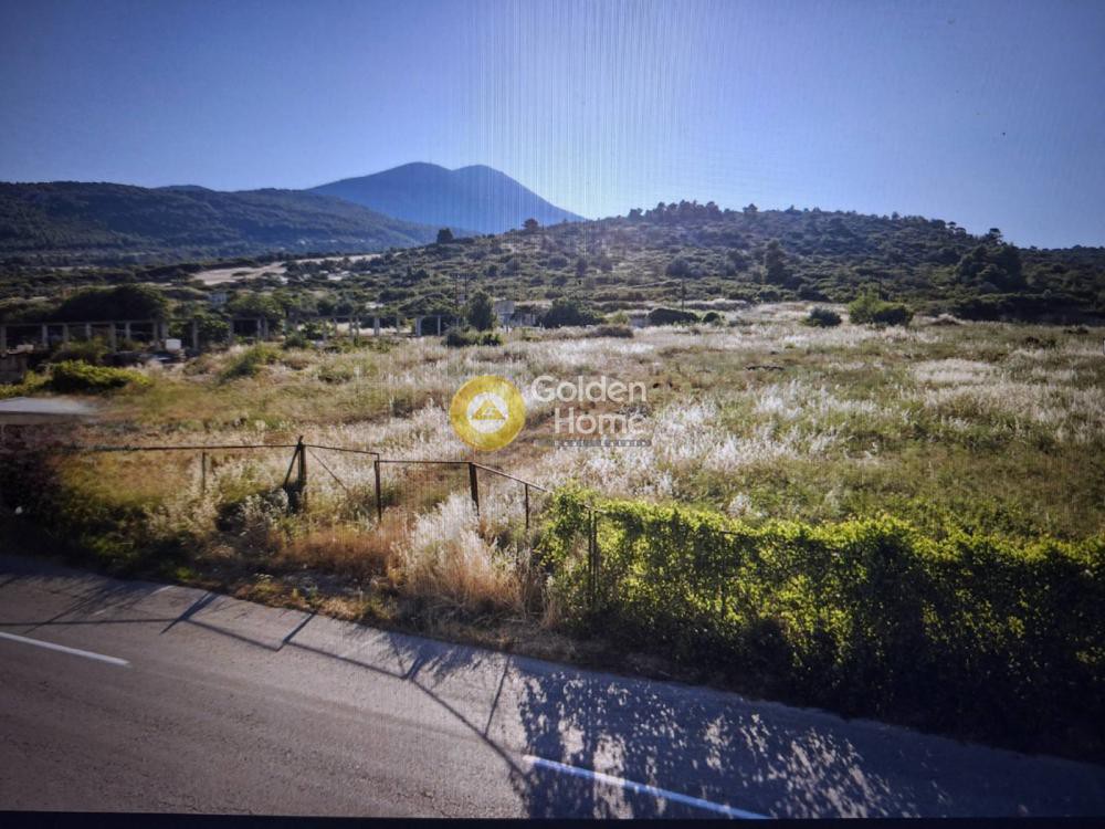 Οικόπεδο 14.000 τ.μ. προς πώληση, Ξηρόβρυση Ανθηδώνος