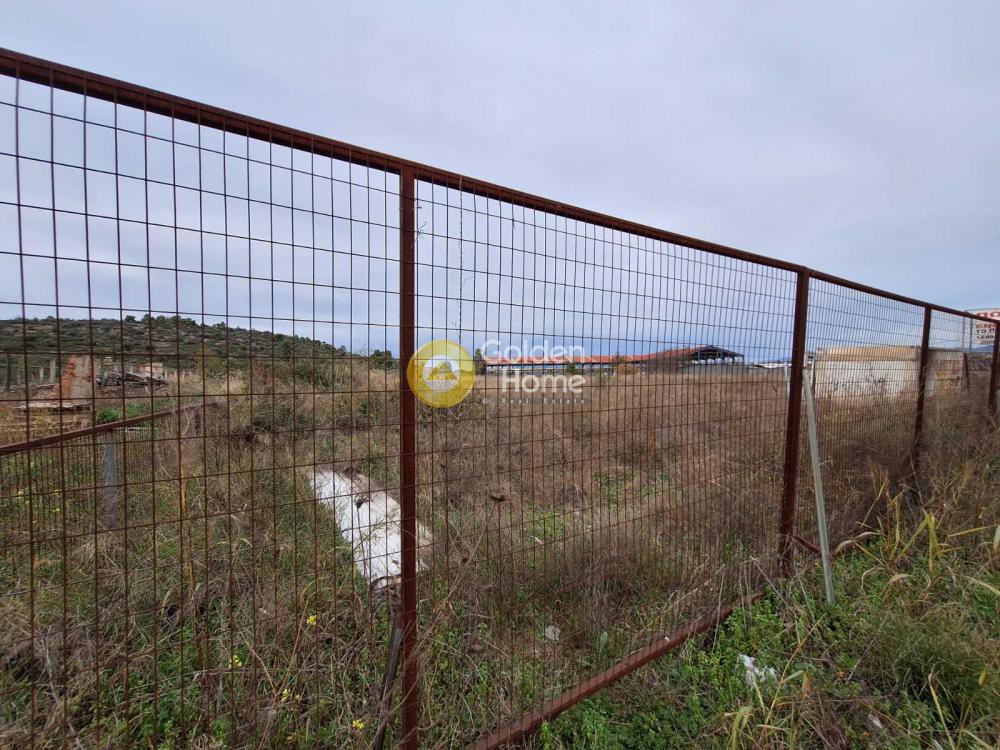 Οικόπεδο 14.000 τ.μ. προς πώληση, Ξηρόβρυση Ανθηδώνος