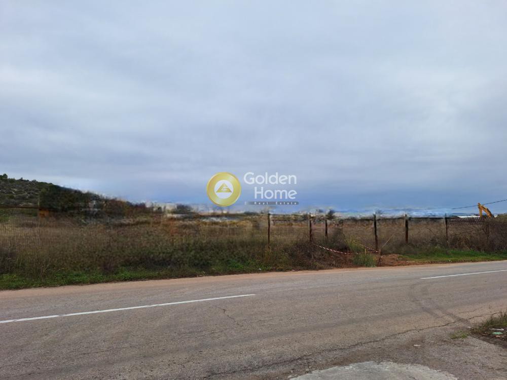 Οικόπεδο 14.000 τ.μ. προς πώληση, Ξηρόβρυση Ανθηδώνος