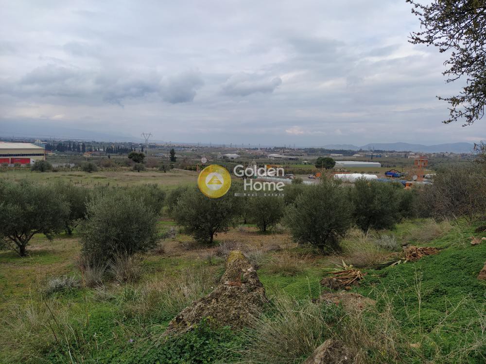 Οικόπεδο 21.540 τ.μ. προς ενοικίαση, Κορινθία, Κόρινθος