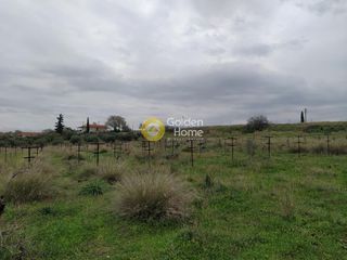 Οικόπεδο 21.540 τ.μ. για ενοικίαση, Κορινθία, Κόρινθος-thumb-7