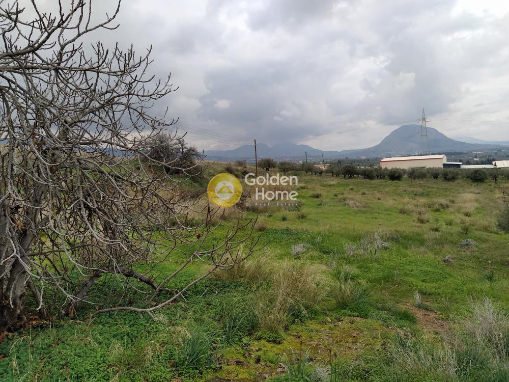 Οικόπεδο 21.540 τ.μ. προς ενοικίαση, Κορινθία, Κόρινθος