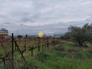 Οικόπεδο 21.540 τ.μ. για ενοικίαση, Κορινθία, Κόρινθος-thumb-6