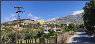 Οικόπεδο 3.200 τ.μ. προς πώληση, Γραμπιά-thumb-3