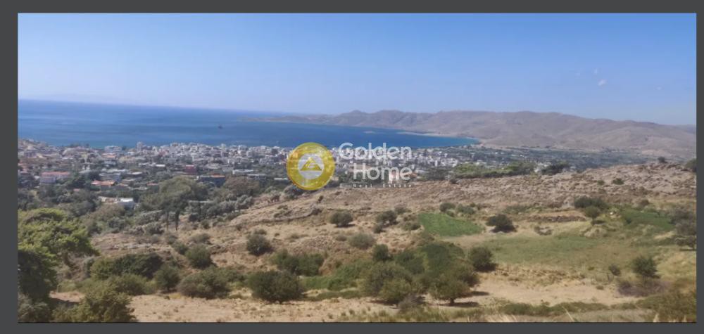 Οικόπεδο 3.200 τ.μ. προς πώληση, Γραμπιά