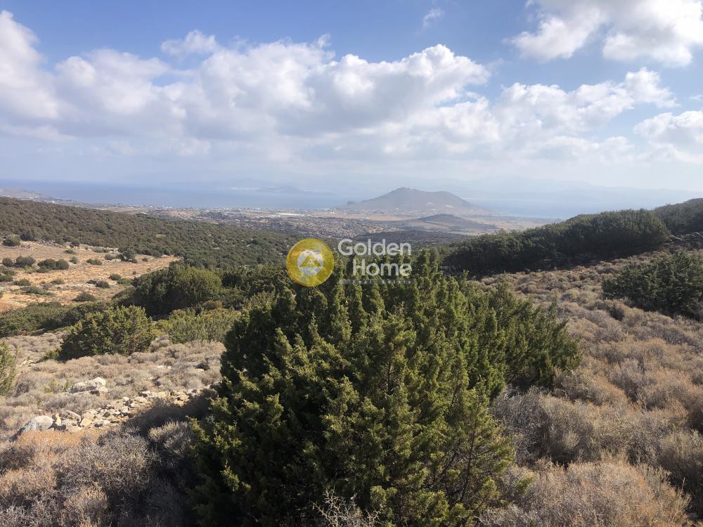 Αγροτεμάχια 24.000 τ.μ. προς πώληση, Λεύκες Πάρου