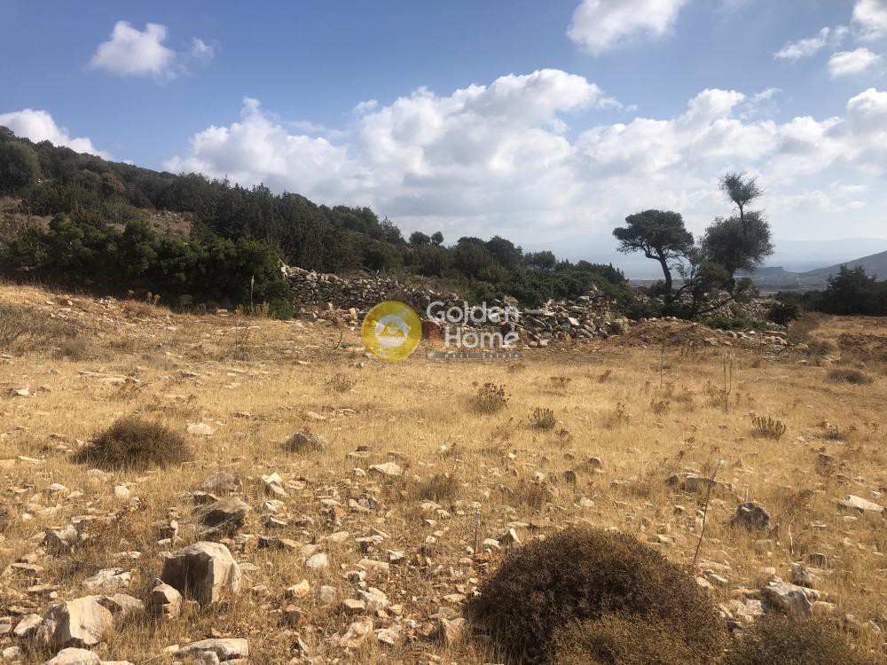Αγροτεμάχια 24.000 τ.μ. προς πώληση, Λεύκες Πάρου